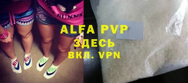 индика Верхний Тагил