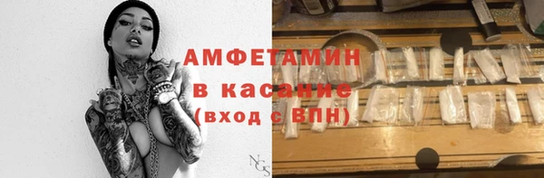 индика Верхний Тагил