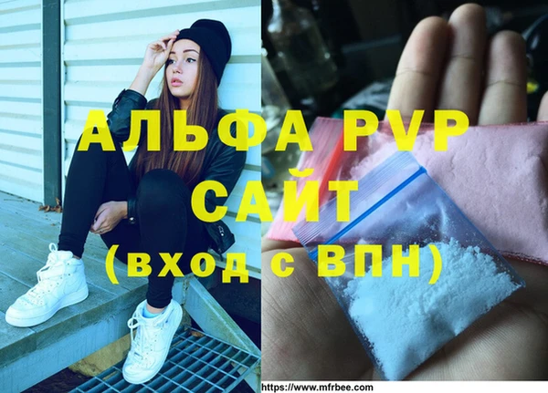 PSILOCYBIN Верея