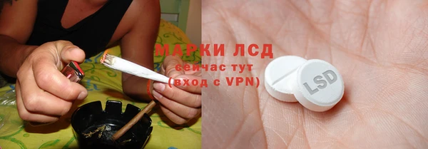 PSILOCYBIN Верея