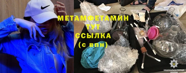 индика Верхний Тагил