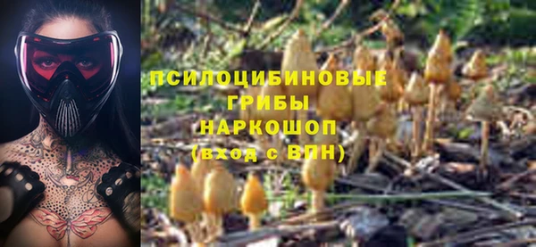 PSILOCYBIN Верея