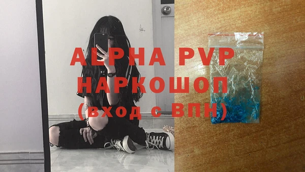 индика Верхний Тагил