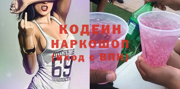 индика Верхний Тагил