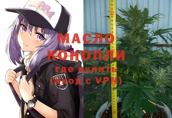 индика Верхний Тагил