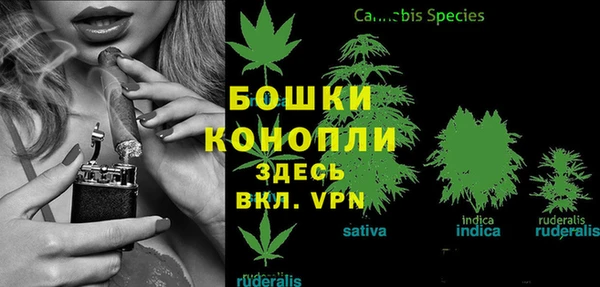 индика Верхний Тагил
