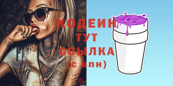 индика Верхний Тагил