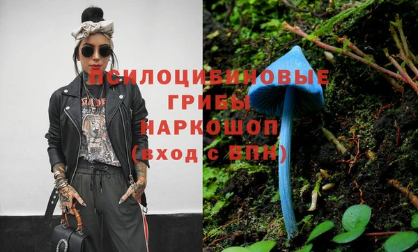PSILOCYBIN Верея
