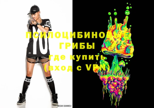 индика Верхний Тагил