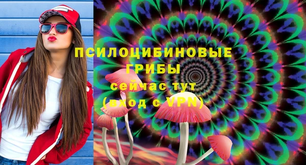 индика Верхний Тагил