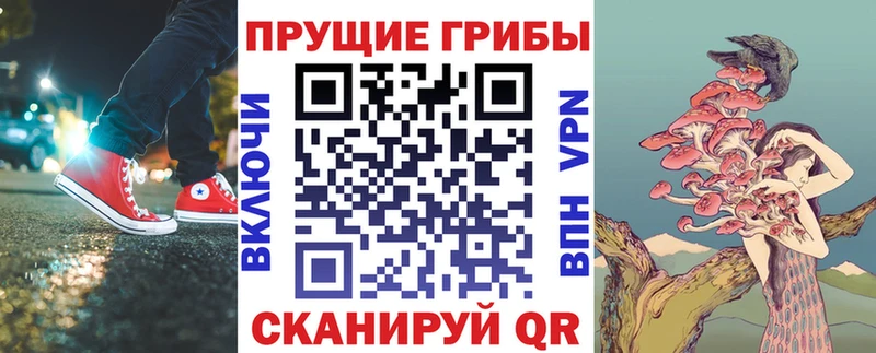 Псилоцибиновые грибы Magic Shrooms  Купить закладки  Чадан 
