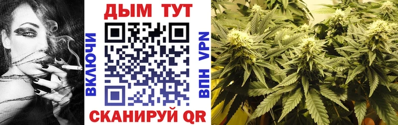 Марихуана сатива  Купить закладки  Чадан 